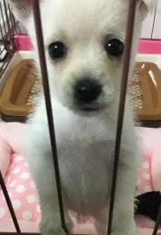 ゆーだい