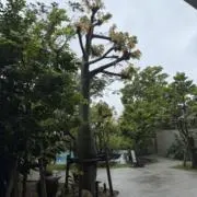 プロフ拝読お願いしますの画像