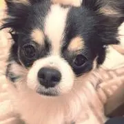 こゆき