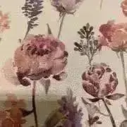 なちゅらの画像