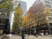 みじゅの画像
