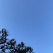 meta meta (metameta)の画像