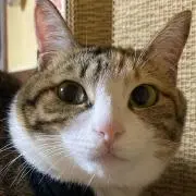 ハス子☆の画像