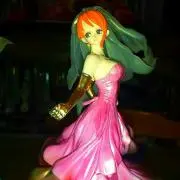 Hide