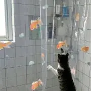 ねこの画像