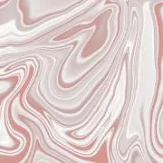 瀬の画像