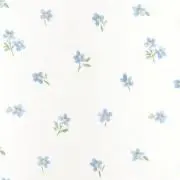 るーの画像