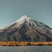 S61の画像