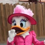 虹の画像