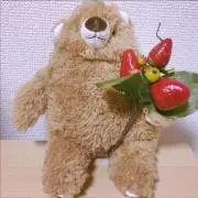 のんきーずの画像