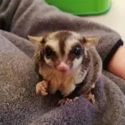 いろどり※プロフィールご一読ください