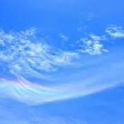 mayumiの画像