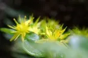 どんちゃんの画像