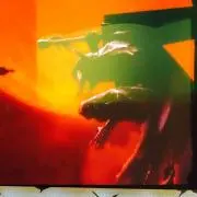 レイ