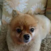 なお