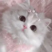 れなの画像