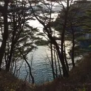行旅弦波
