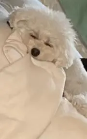 たかやん