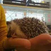bunbunの画像