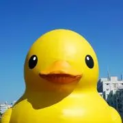ぺんぺんこの画像
