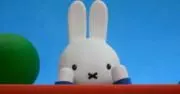 まゆ621の画像