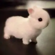 chacha☆値下げ交渉OKの画像