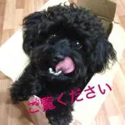 ぶんちゃん☀︎閉店セール