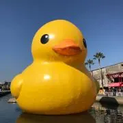 ちょこもち♪♪の画像