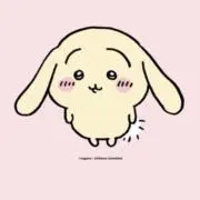おまめ。の画像