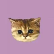 セリの画像