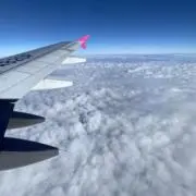 てっちゃんの画像