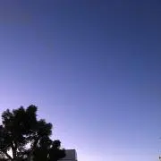 Fの画像