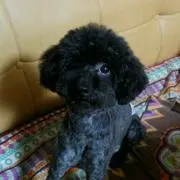 ☆さっと☆の画像