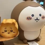 即購入可sakolateの画像