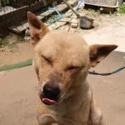 宏〜和