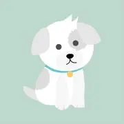 Ken