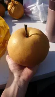 necömi展 会場のみで受注販売された直筆サイン入り B5アクリルボード