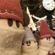 せあの画像