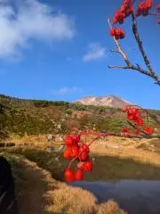 ainobuの画像