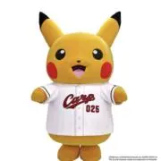 PIKAPIKA☆彡の画像
