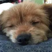 あーめ※プロフ必読※