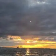 りんごの画像