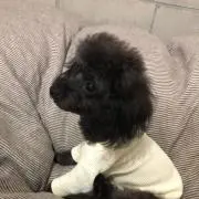 ___suu.の画像