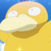 とりの画像