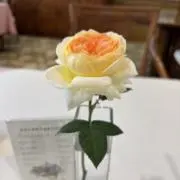 みちこ