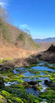 yama86の画像