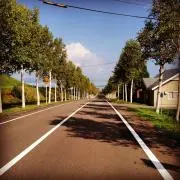 azukiの画像