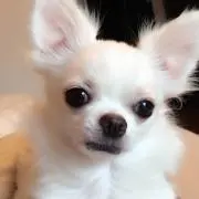 ♡  ゆう  ♡ 【即購入OK！】の画像
