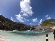 田中の画像