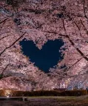 iori